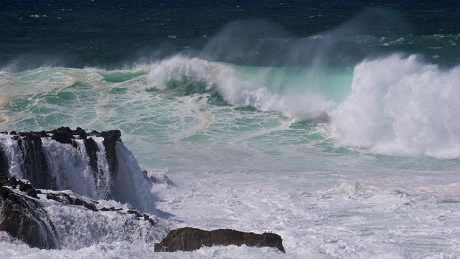 Ocean Mist Photograph by Barbara Siegel