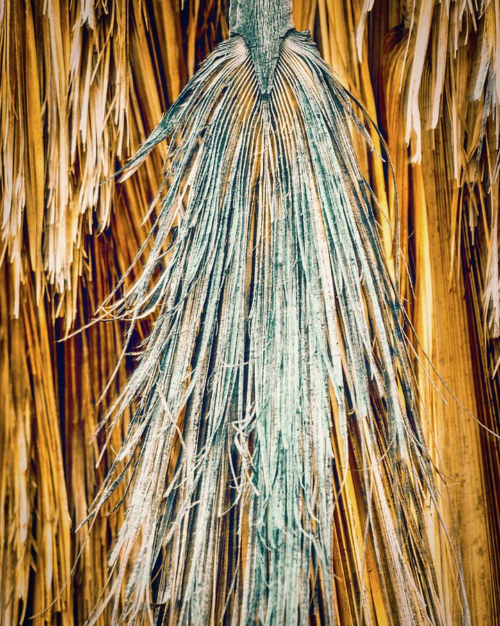 October 2022  Fading Away Photograph by Alain Zarinelli