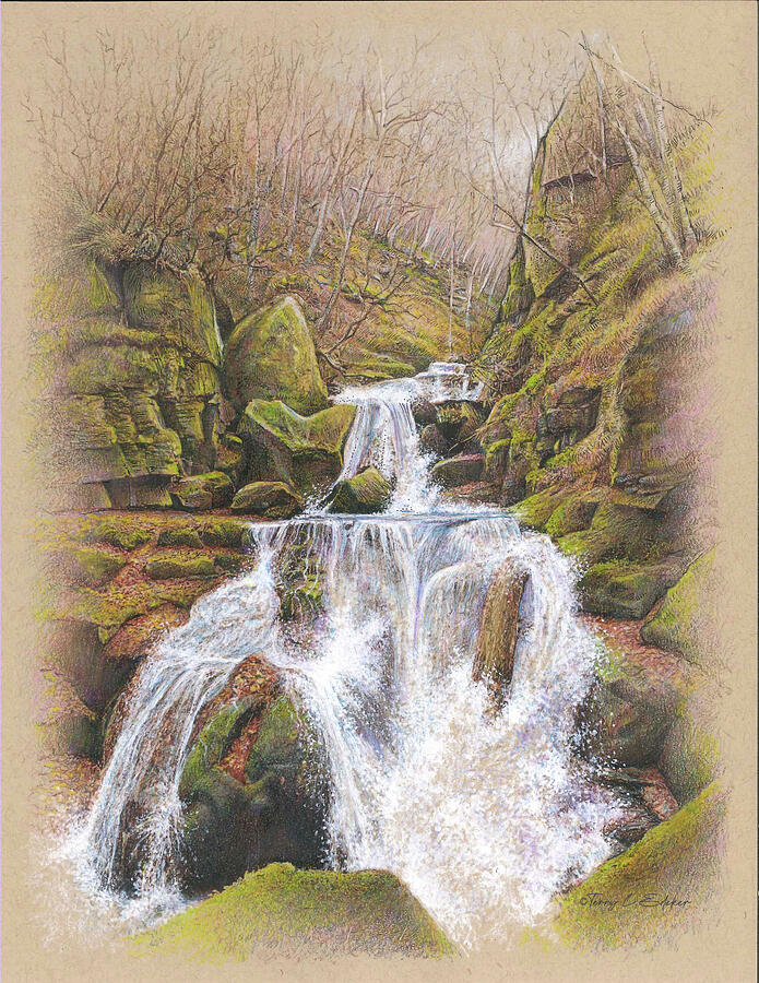 Oirase Gorge Drawing by Terry Edeker