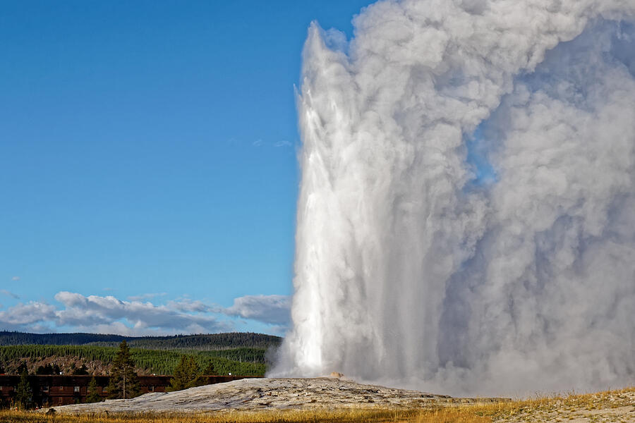 Old Faithful Erupting in Yellowstone Photograph - Old Faithful Erupting in Yellowstone by KJ Swan