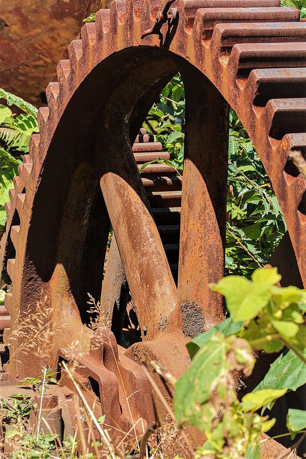 Old Gear1 Photograph by John Linnemeyer