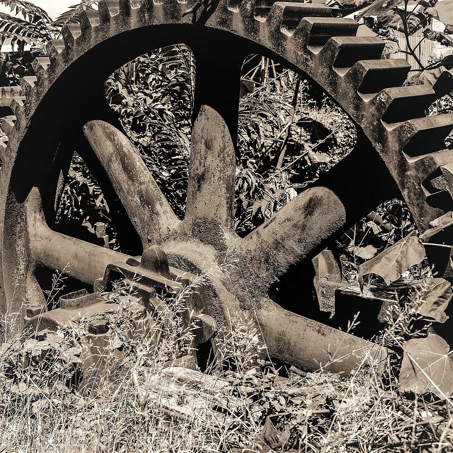 Old Gear2-2 Photograph by John Linnemeyer