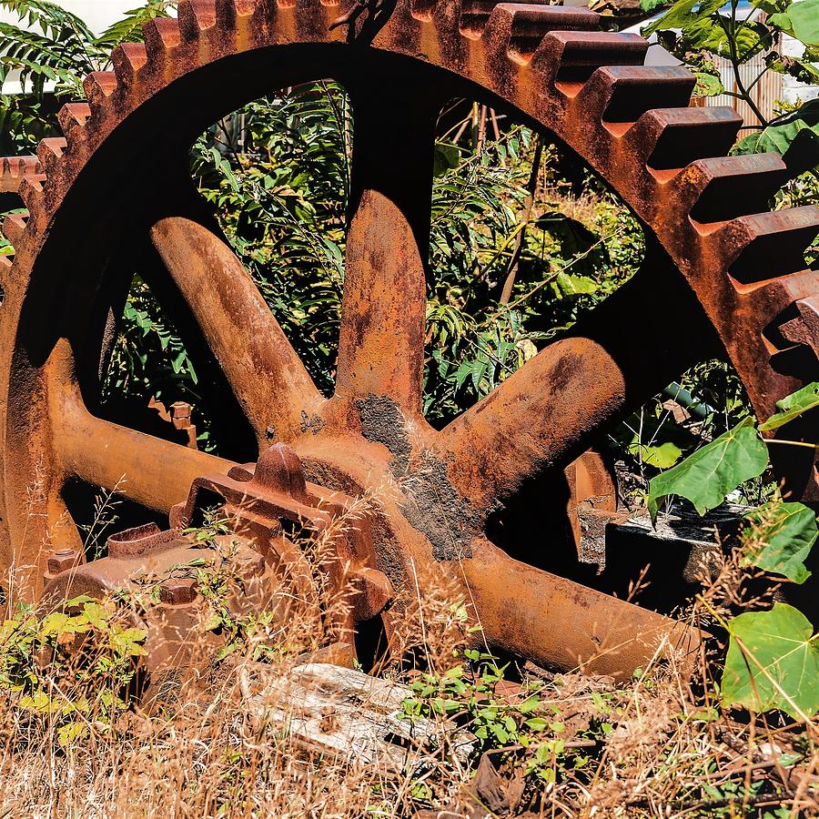 Old Gear2 Photograph by John Linnemeyer