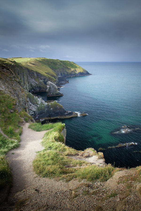 Old Head of Kinsale Photograph by Mark Callanan
