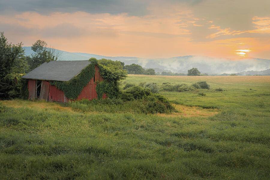 Pastoral Summer Sunset Photograph by Dave King