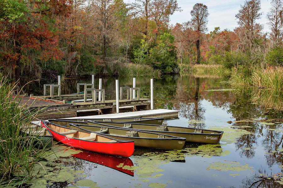 Old Santee Canal Park 12 Photograph by Cindy Robinson