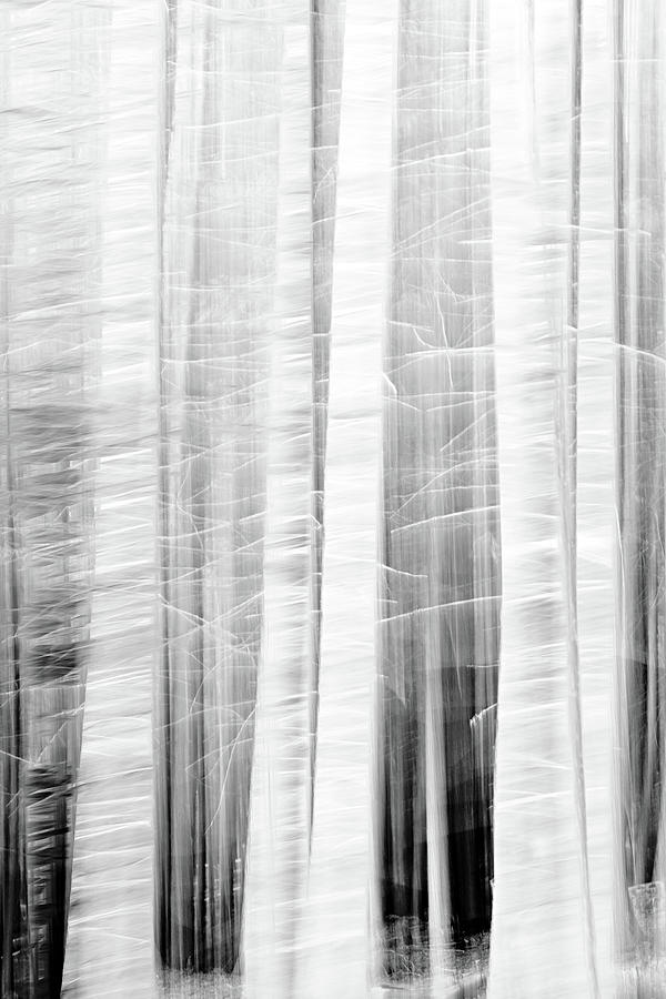 On a Cool Day Photograph by Ursula Abresch