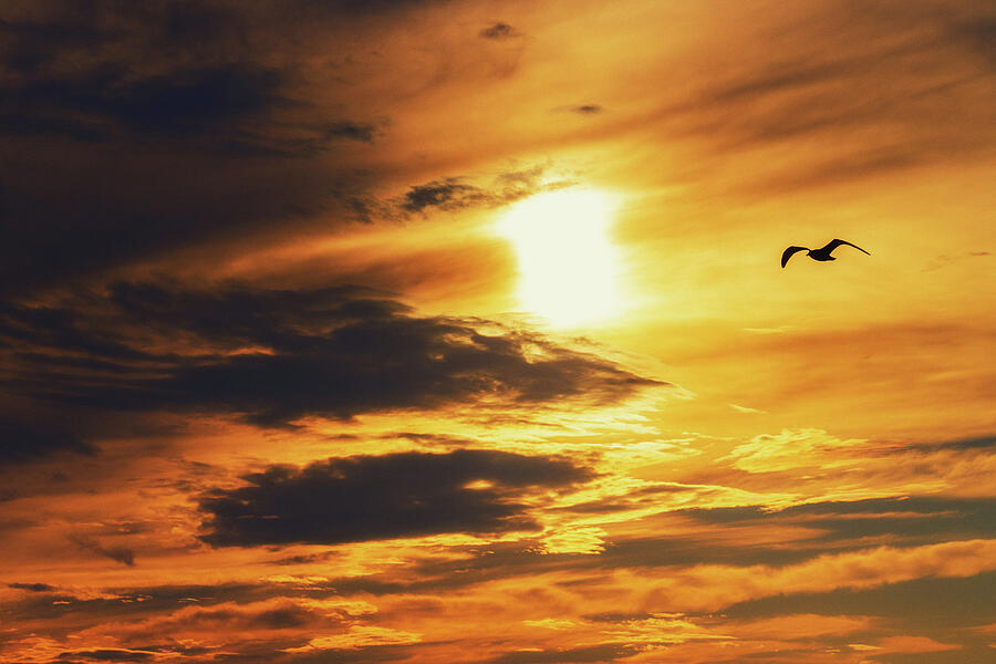 On Approach Photograph by Rich Kovach