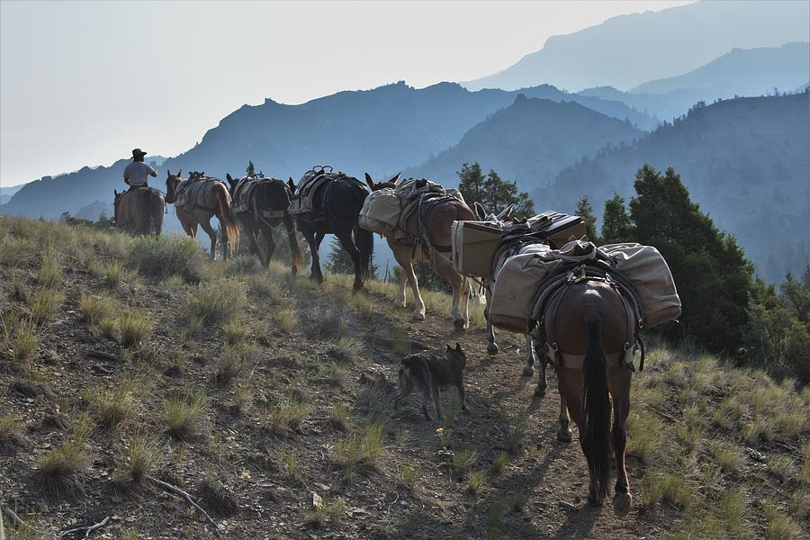 On the Trail Photograph by Alden White Ballard