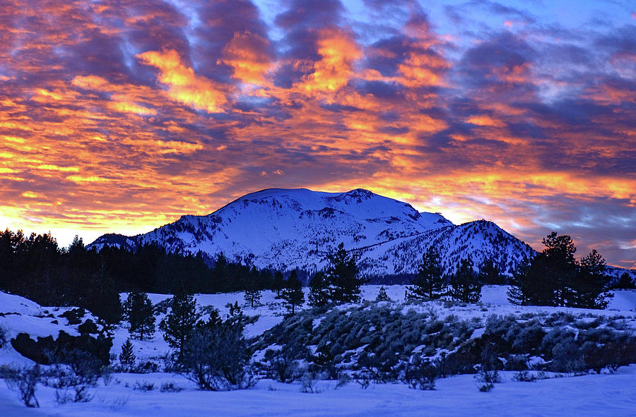Mammoth Mountain - Opalescent Sunset Photograph by Bonnie Colgan