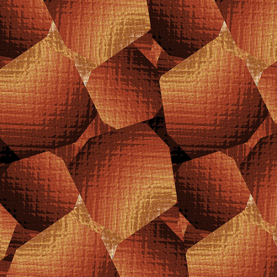 Orange Crush Digital Art by Vic Eberly