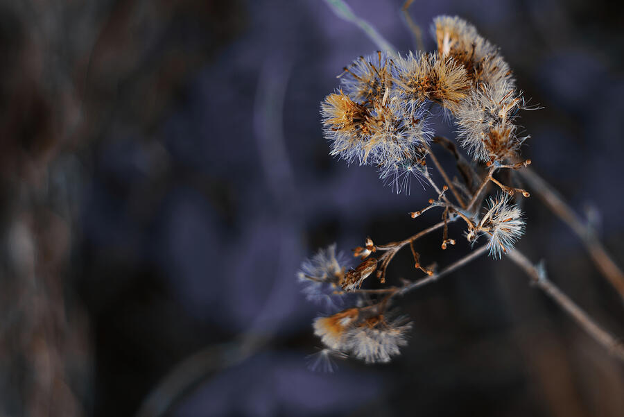 Orbiting the Euphrates Photograph by Gian Smith