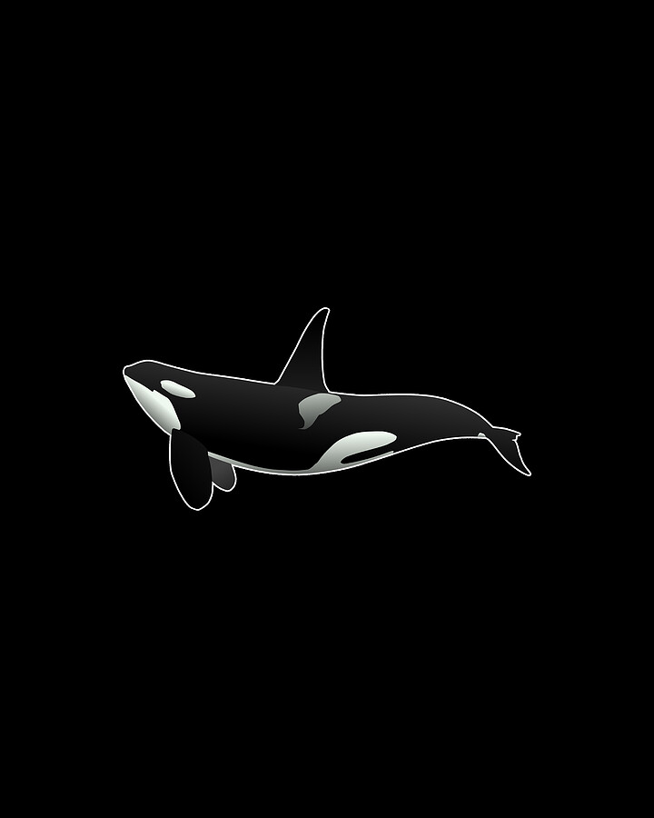 Orca Killer Whale Digital Art by Flippin Sweet Gear