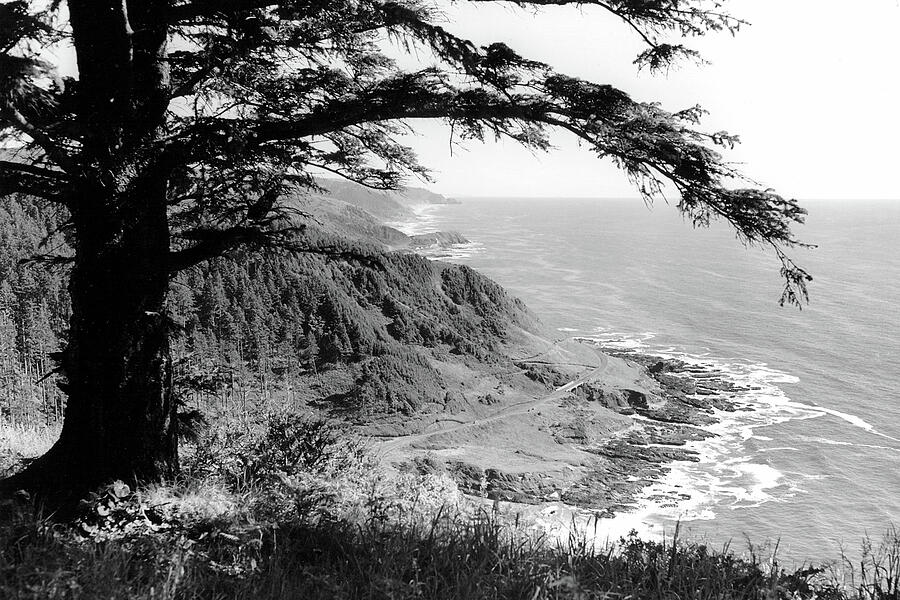 Oregon Coast Cliffside Black and White Fine Art Photography by Claude ...