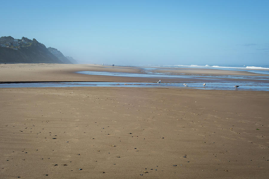 Oregon Coast Study no. 3076 Photograph by Jonathan Babon