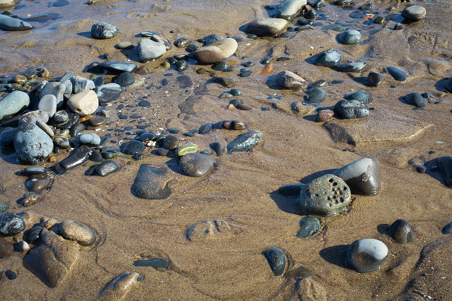 Oregon Coast Study no. 3079 Photograph by Jonathan Babon