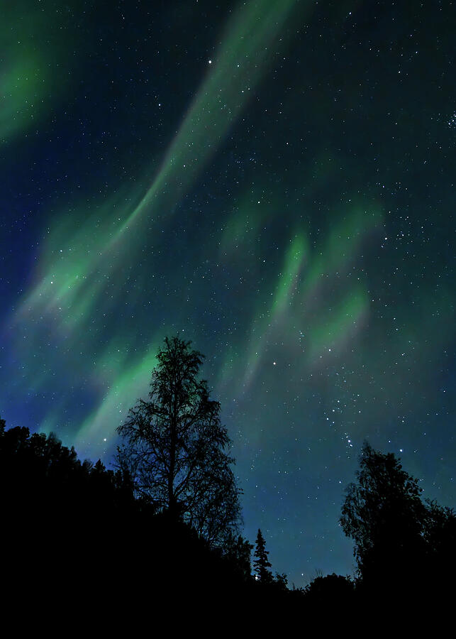 Orions Lights Photograph by Harry Banks