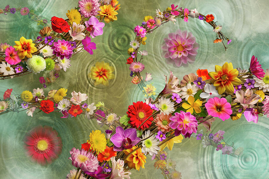 Oscillations Photograph by Steven Lutz