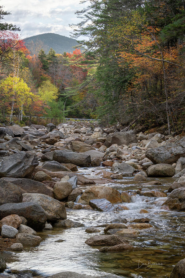 Autumn Mountain Stream Photograph - Otter Rocks #8449 by Dan Beauvais