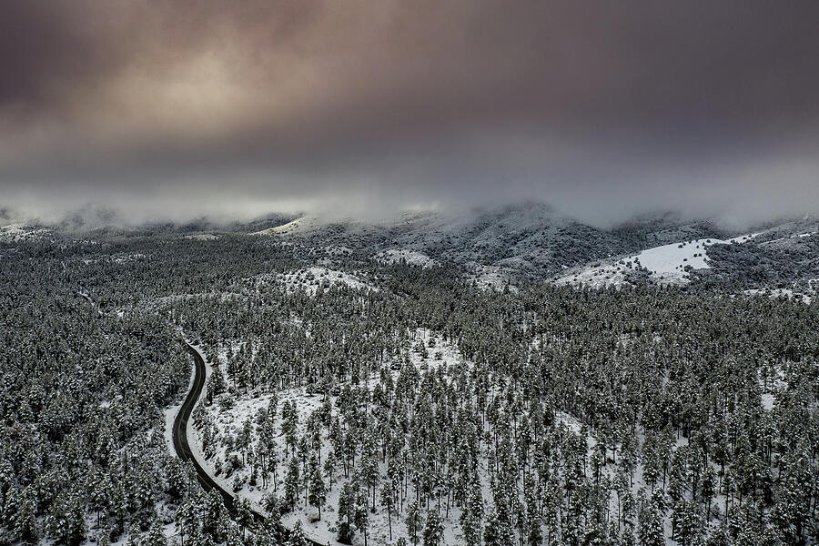 Over the hills and through the woods Photograph by Matt Halvorson