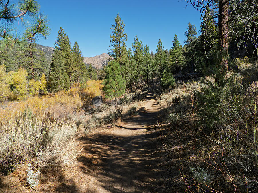 Pacific Crest Trail at Kennedy Meadows Photograph by Joe Schofield