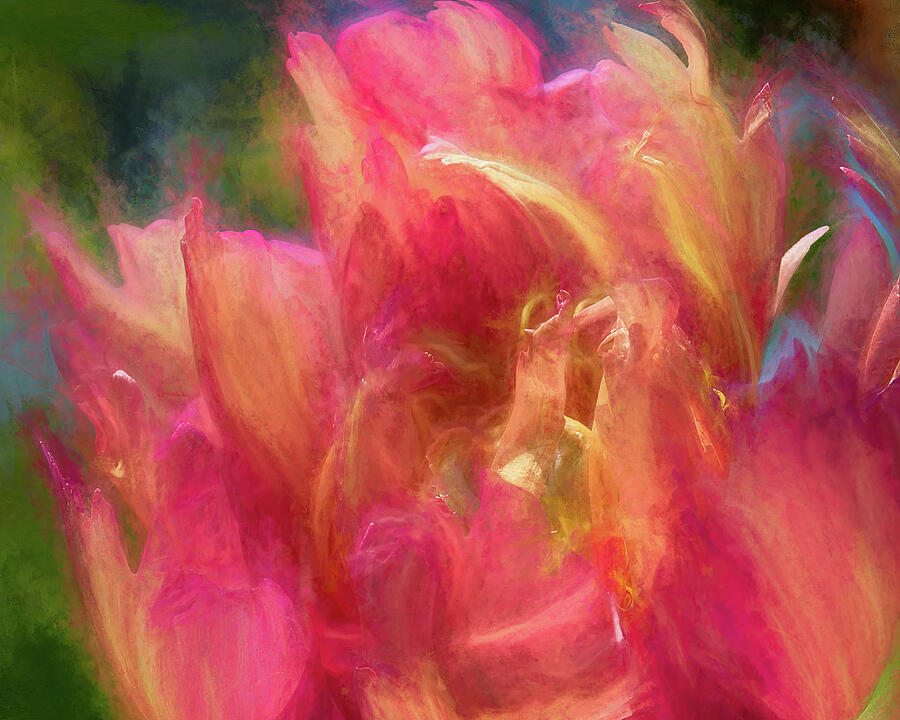 Painterly Blooms Photograph by Dodie Ross
