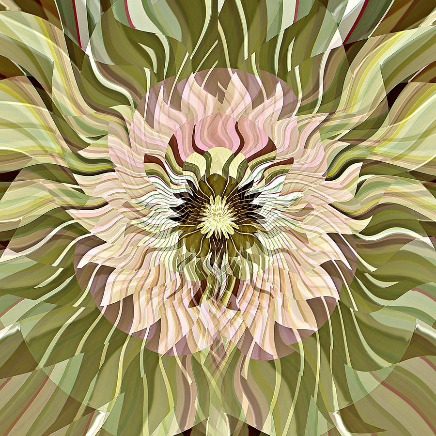 Pale Pink Floral Digital Art by David Manlove