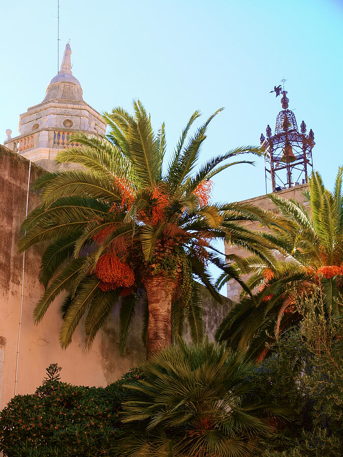 Palm Trees and Historic Architecture Photograph - Palm Trees and Historic Architecture of Church of Sant Bartomeu in Background by Travel Essayist
