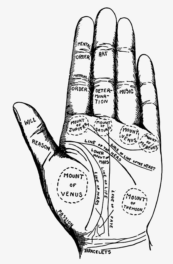 Les Explained Hand Guide Palmistry Guide Hand Diagram Digital Art by Tom Hill - Metal Posters