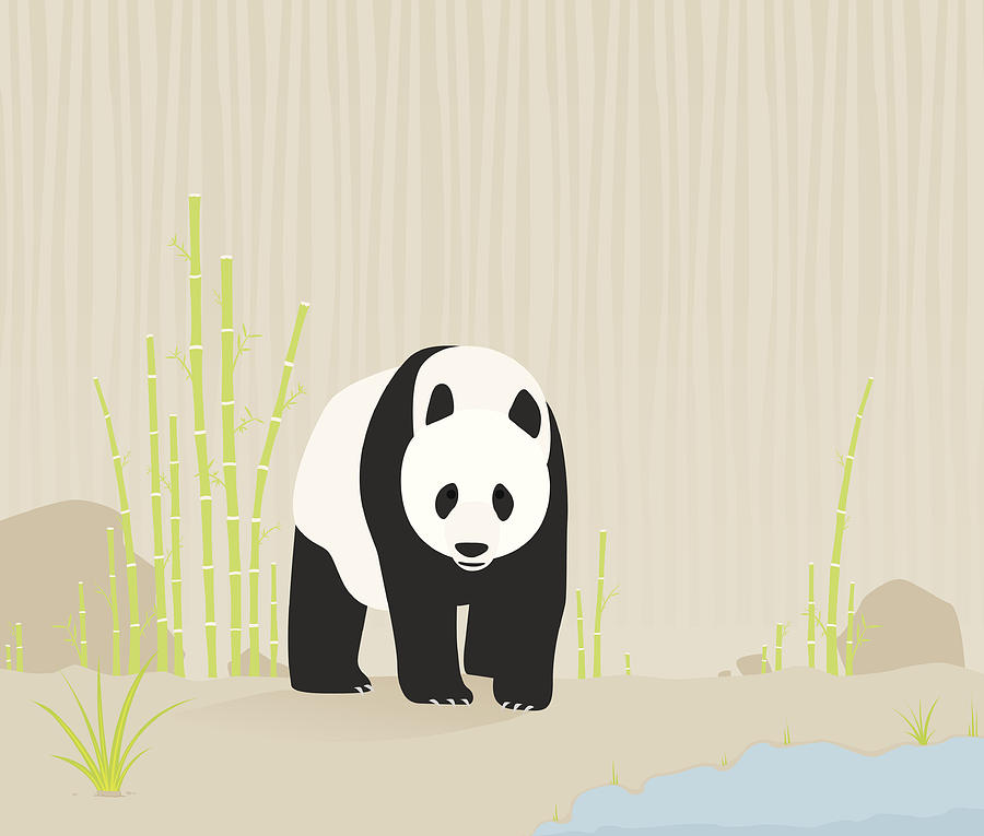 Panda in nature Drawing by Bamlou