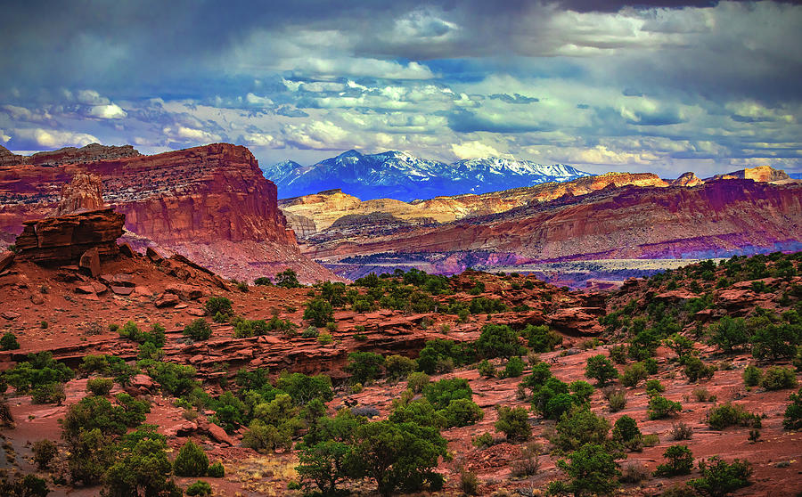 Panorama Point, Capitol Reef - Utah Photograph by Abbie Warnock