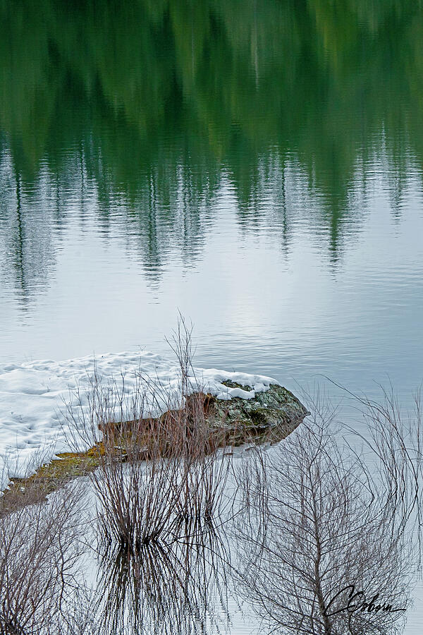Paradise Lake Reflections Photograph by Charlie Osborn