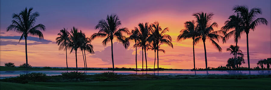 Paradise Lost Photograph by Maryanne Keeling