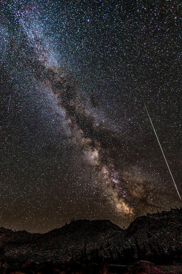 Parallel Perseid Photograph by Tim Lyden