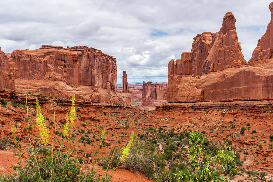 Park Avenue and Dark Angel Photograph by Diane Moller