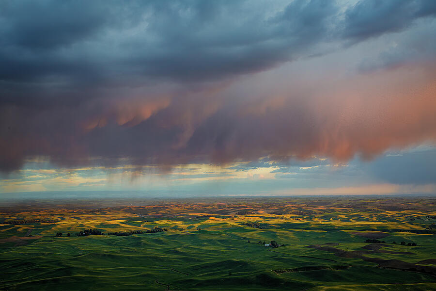 Pastel Patchwork Photograph by Tim Lyden