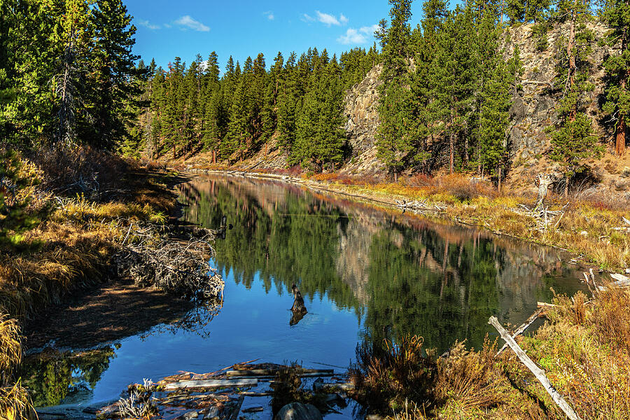 Serene Forest River Landscape Photograph - Peaceful Autumn Day on Deschutes River by Michael DeGrenier