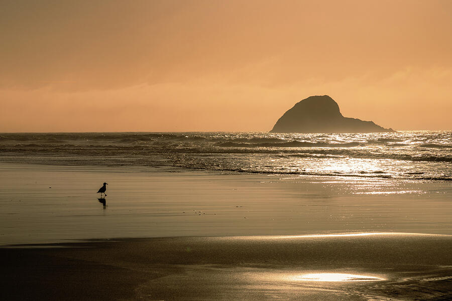 Peaceful Solitude - Trinidad State Beach - Humboldt County California Photograph by Mike Lee