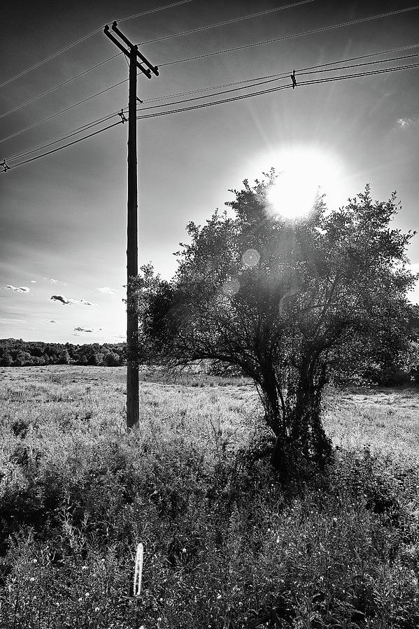 Phone Pole Flare Photograph by Steven Nelson