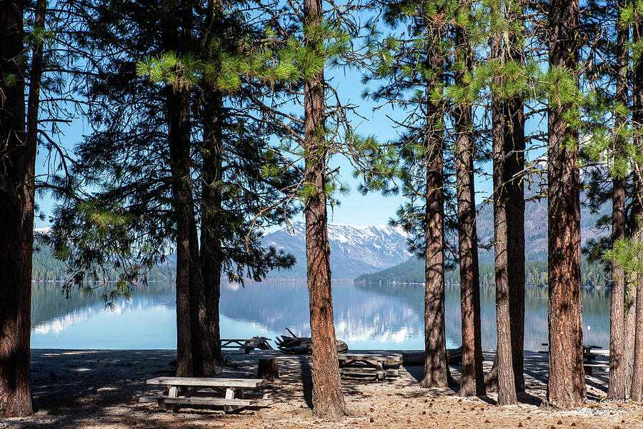 Serene Lakeside Forest View Photograph - Picnic Tables and Pine Trees at Lake Wenatchee by Tom Cochran