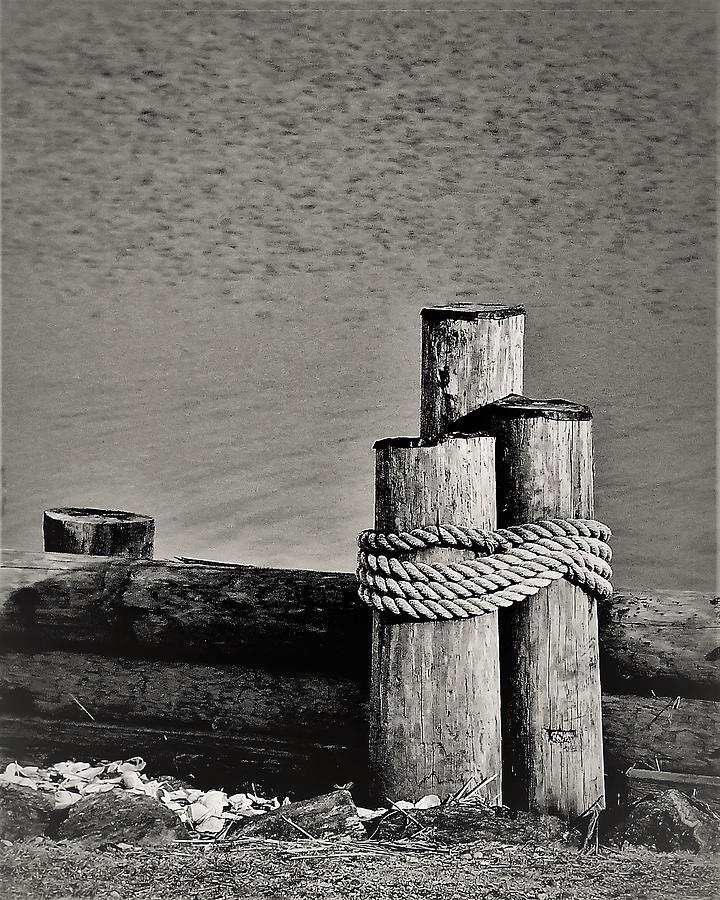 Piel1 Photograph by John Linnemeyer