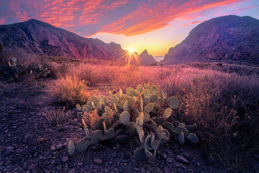 Pin Point Photograph by Slow Fuse Photography