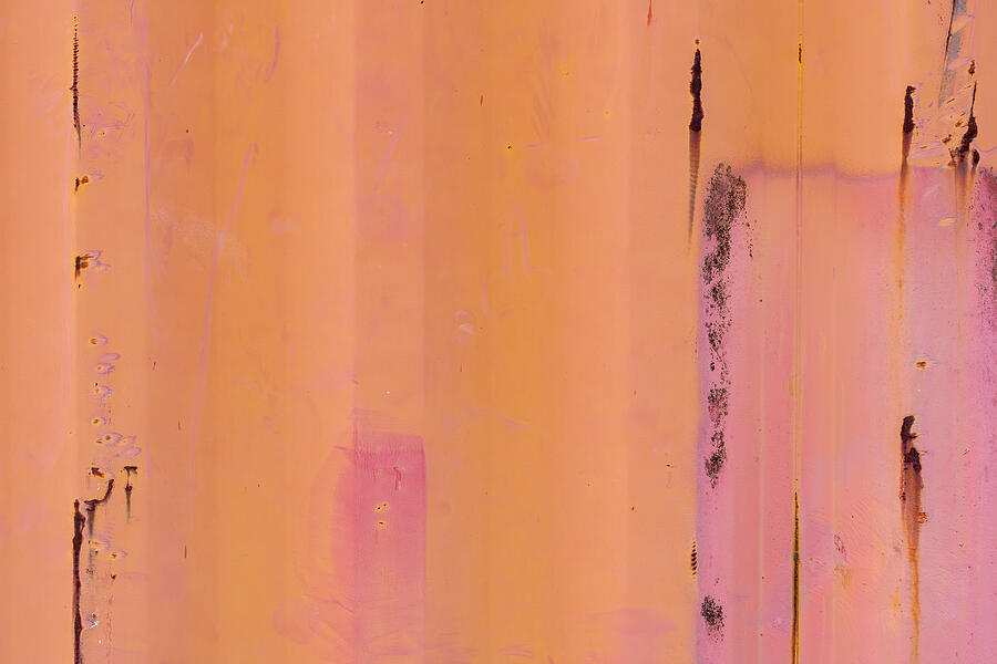 Pink Photograph by Chad Thunberg