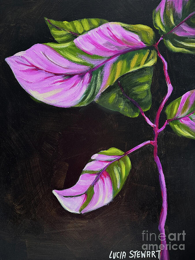 Pink Lady Painting by Lucia Stewart