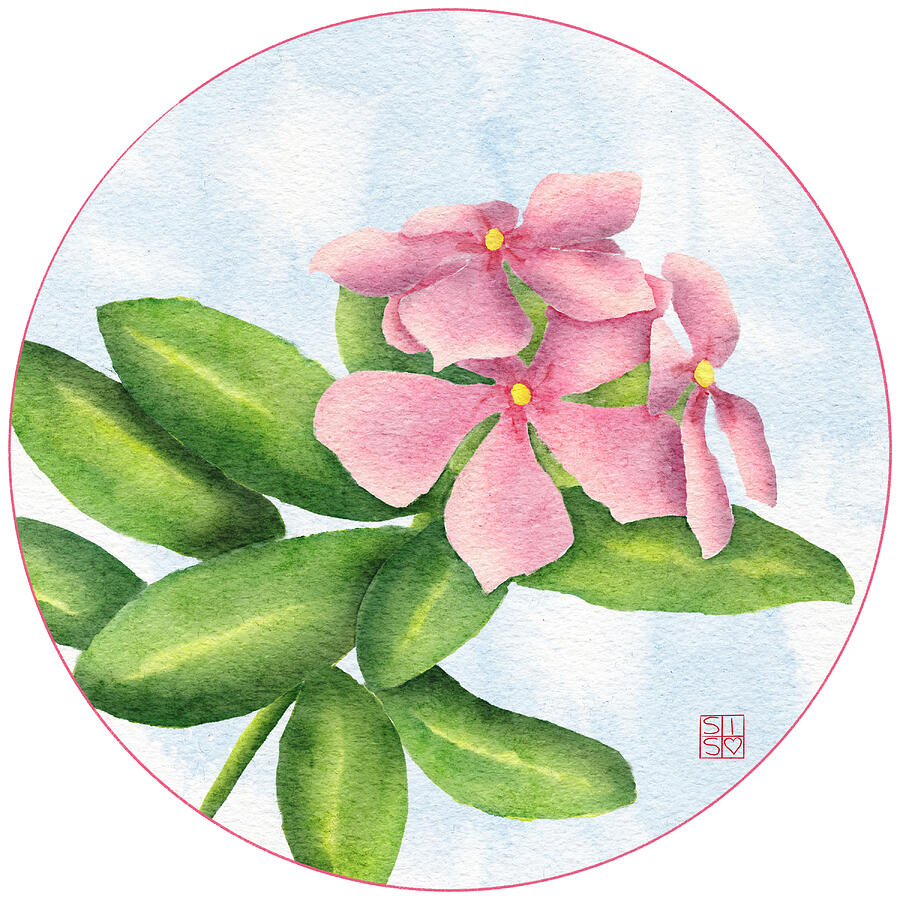 Pink Periwinkles in Bloom Digital Art by Snow Iris Studio
