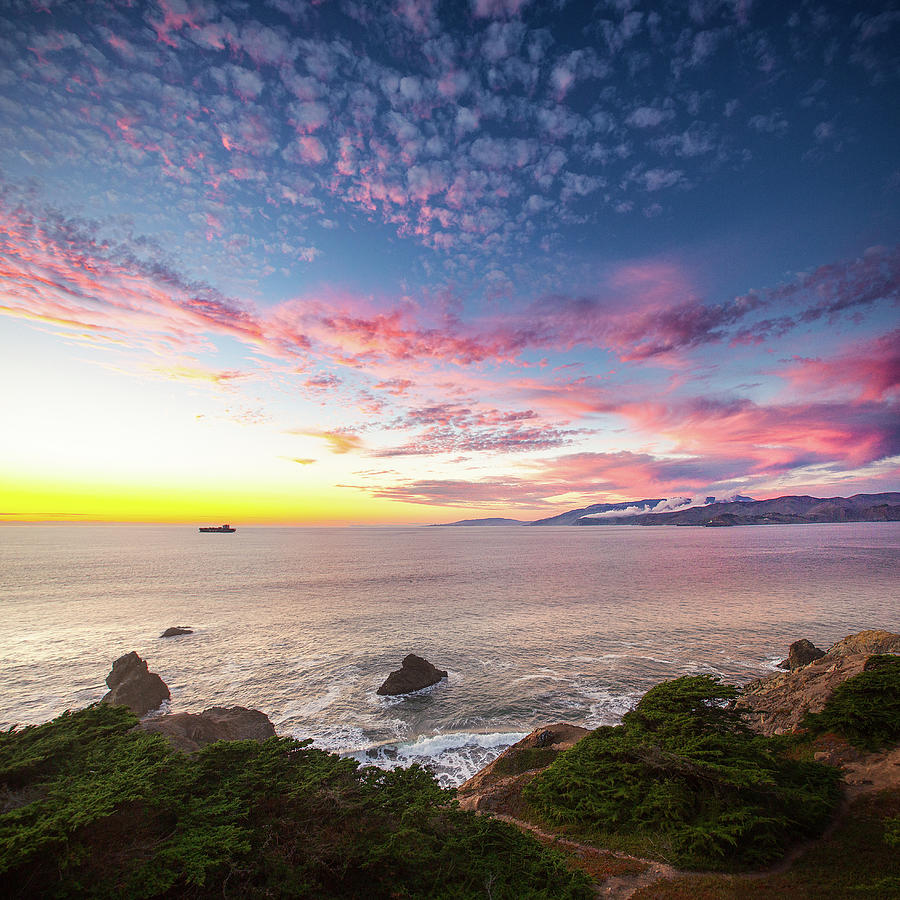 Pink Popcorn Photograph by Louis Raphael