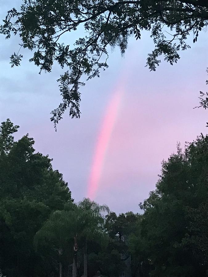Pink rainbow Photograph by Doreen Rosselli