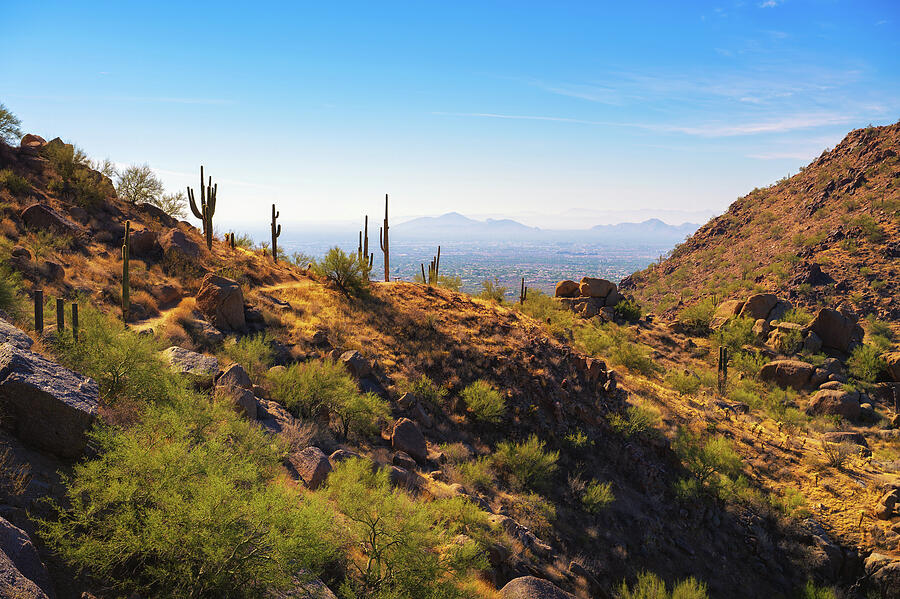 Pinnacle Peak Trail Desert View near Phoenix, Arizona Photograph by Miroslav Liska