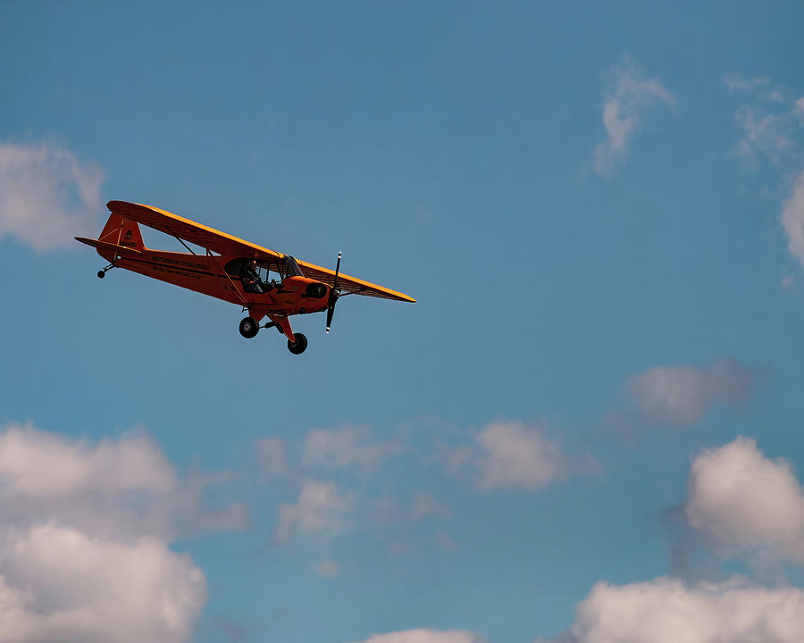 Piper J-3 Cub Photograph by Flees Photos