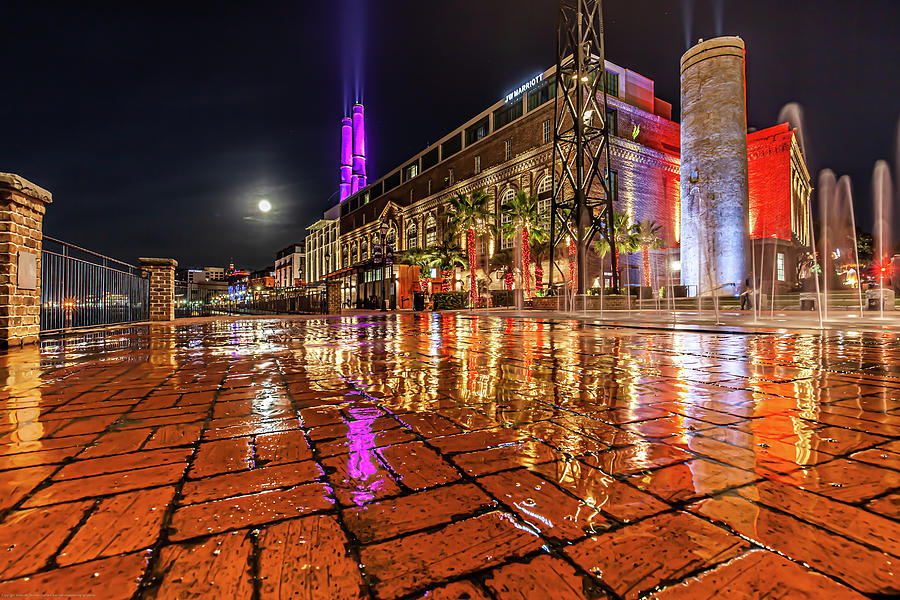 Plant District Reflection Photograph by Kenny Thomas